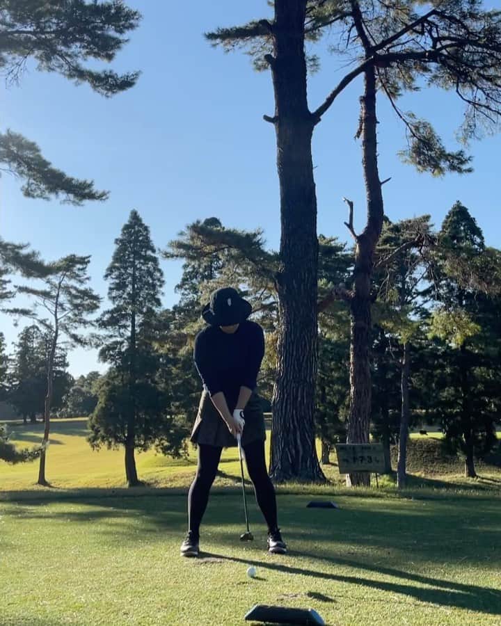 藤島妃呂子のグルメインスタ