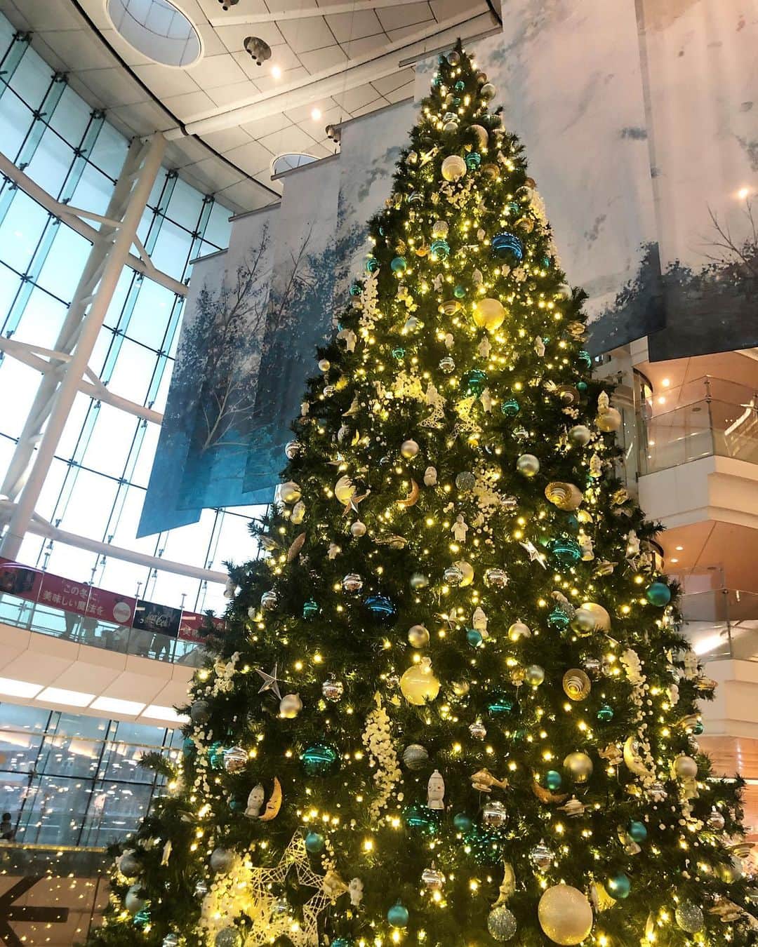 中野美奈子さんのインスタグラム写真 - (中野美奈子Instagram)「お仕事で東京へ。  乱気流で激揺れの飛行機を降りて、ターミナルの最上階に行ってみたら 綺麗な虹🌈  お久しぶりの羽田空港はクリスマスツリーがキラキラでした。 よく見るとオーナメントが空飛ぶものたち。  師走が近づいております。  #年賀状もそろそろやらんと  #羽田空港 好き #虹 #よく見ると窓に虫  #クリスマスツリー  #赤ちゃんのいる生活  #4か月ベビー   #中野美奈子」11月11日 15時50分 - minako_nakano.official