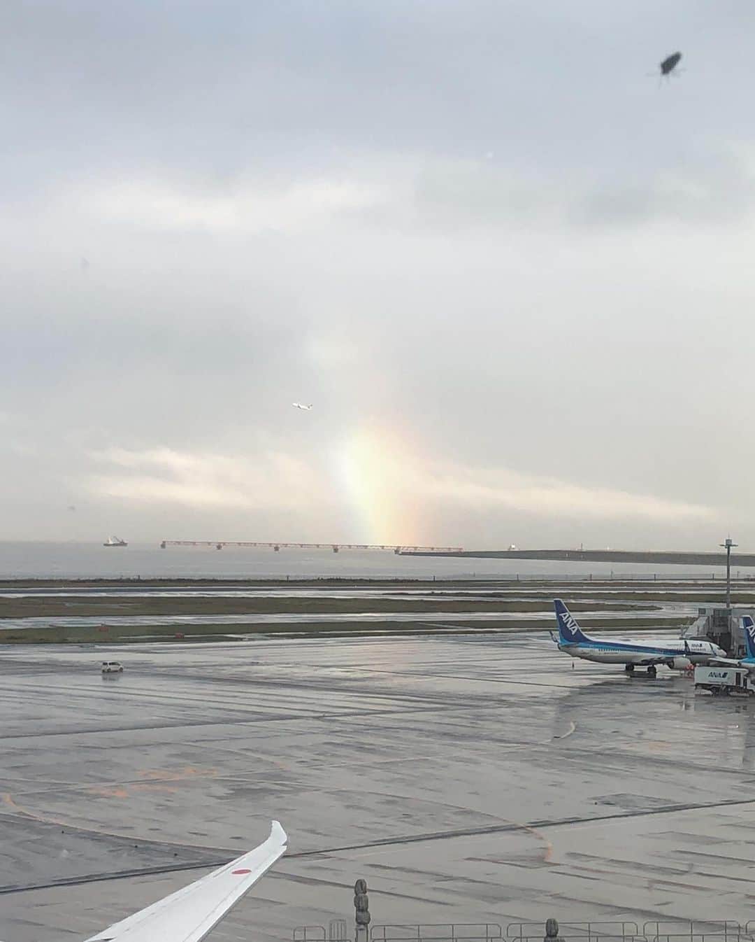 のインスタグラム：「お仕事で東京へ。  乱気流で激揺れの飛行機を降りて、ターミナルの最上階に行ってみたら 綺麗な虹🌈  お久しぶりの羽田空港はクリスマスツリーがキラキラでした。 よく見るとオーナメントが空飛ぶものたち。  師走が近づいております。  #年賀状もそろそろやらんと  #羽田空港 好き #虹 #よく見ると窓に虫  #クリスマスツリー  #赤ちゃんのいる生活  #4か月ベビー   #中野美奈子」