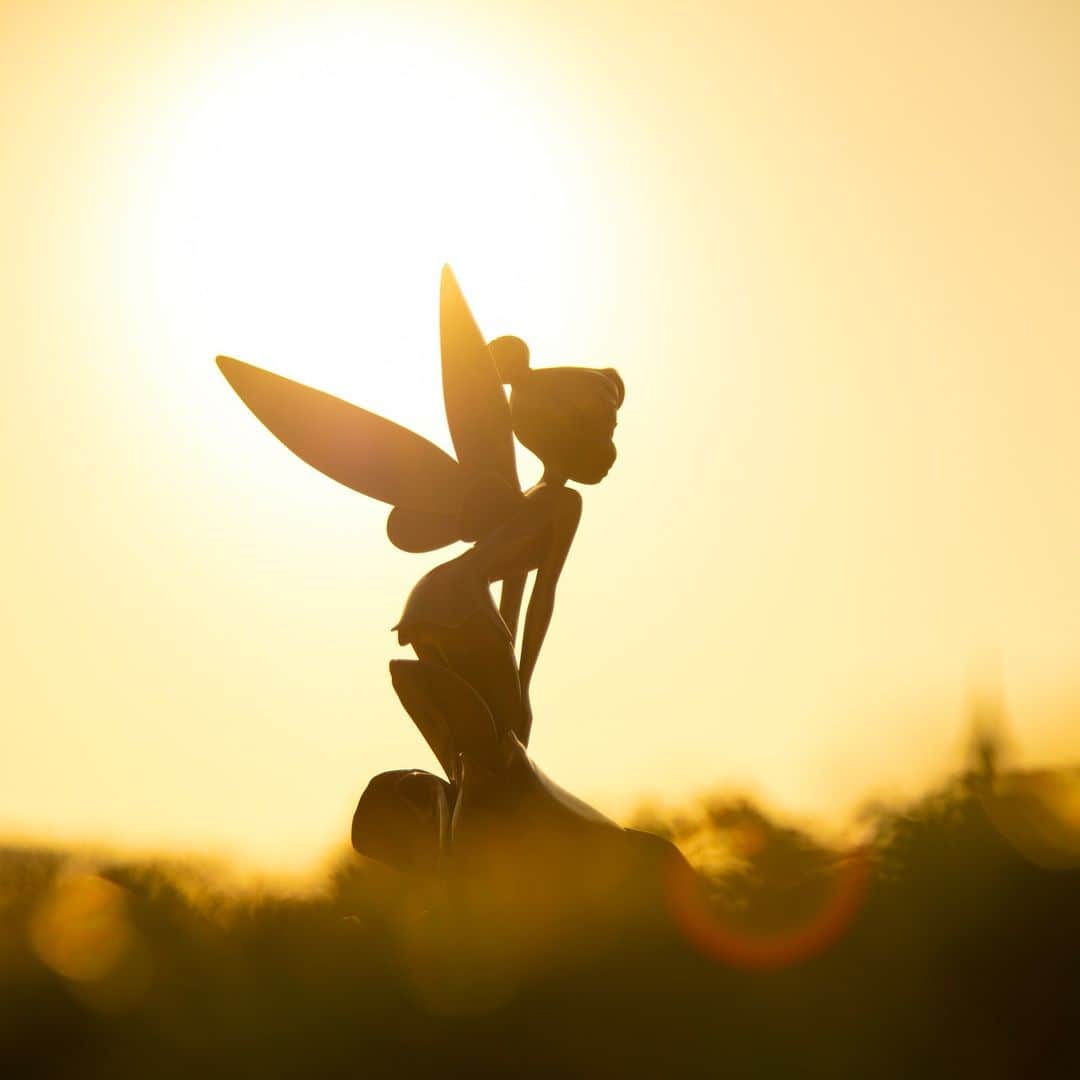 東京ディズニーリゾートさんのインスタグラム写真 - (東京ディズニーリゾートInstagram)「A perfect silhouette at sunset. どんな1日だったかな？ #sunset #tinkerbell #tokyodisneyland #tokyodisneyresort #夕焼け #ティンカーベル #東京ディズニーランド #東京ディズニーリゾート」11月11日 16時00分 - tokyodisneyresort_official