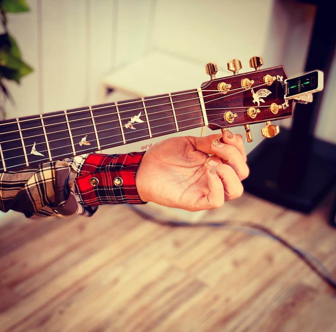 押尾コータローさんのインスタグラム写真 - (押尾コータローInstagram)「tuning… #押尾コータロー　#アコースティックギター　#チューニング　#kotaro oshio  #guitar」11月11日 16時15分 - kotaro040