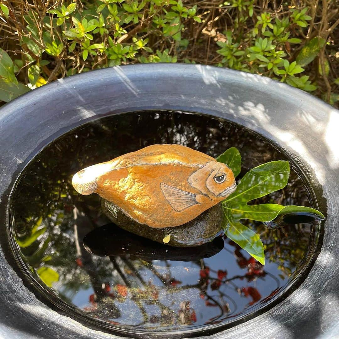 美舞さんのインスタグラム写真 - (美舞Instagram)「. . #大分県日出町 作品達は @stone_zoo_ 名の通り、 石に命が吹き込まれた様な動物達がお出迎えしてくれたよ🙌🐿 見れば見るほどよく考えれてるなぁと感心😢✨ . 今回宿泊したのが、　@sakurabeachgarden 🏠 一件貸し出しの海沿いのお家、、。 窓から海が見えて波の音を聞きながら寝た夜は 深い眠りにつけた😢✨ 開放的なリビングに充実したキッチン、 快適な寝室に、外はBBQ出来るし焚き火台もある。 何よりオーナーが実家に帰ってきた様な暖かい時間を提供してくれる神夫婦🙋‍♀️❤️ 家族とでも友達とでも🤝🤝楽しめそう。 .  #日出町　#ひじまち　#hijimachi #ひじまち巡り　#ひじストーリー　#日出町いいところ　#大分旅行　#大分県　#別府　#beppu #別府湾　#癒し旅　#ココロとカラダ　#PR」11月11日 19時41分 - mibuki__.39