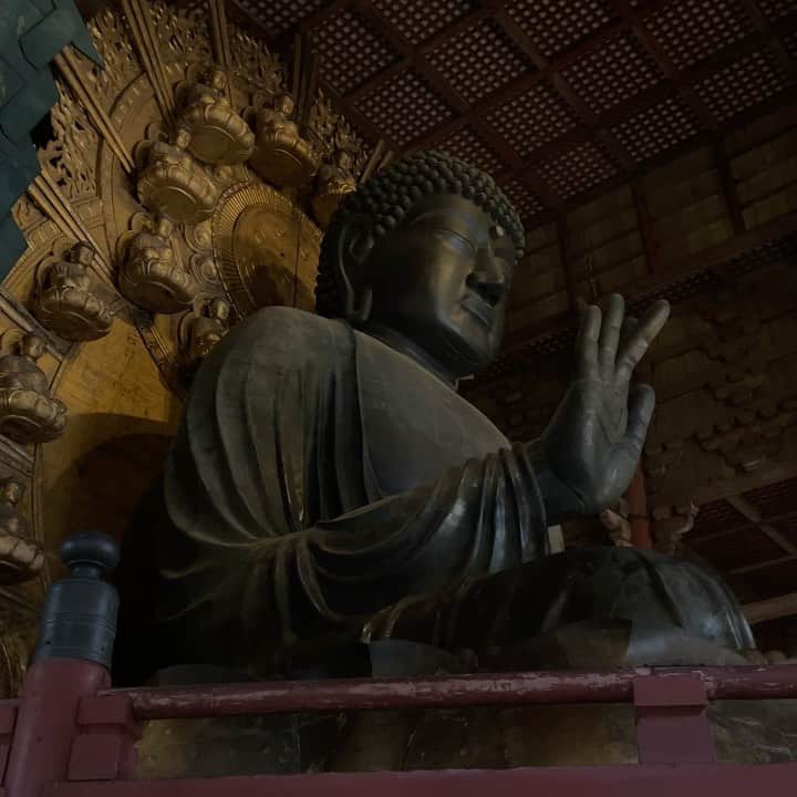 高畑正幸のインスタグラム：「大仏」