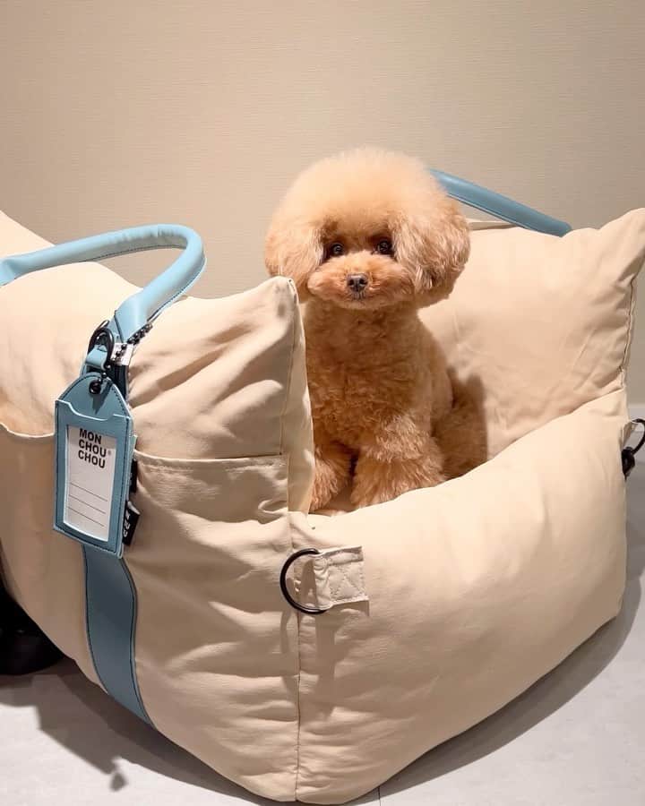 ショコラ❤︎あずき❤︎パンナのインスタグラム