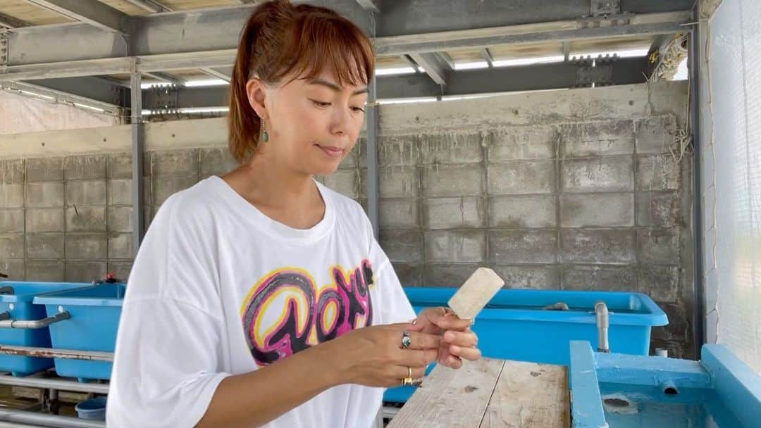 田中律子のインスタグラム