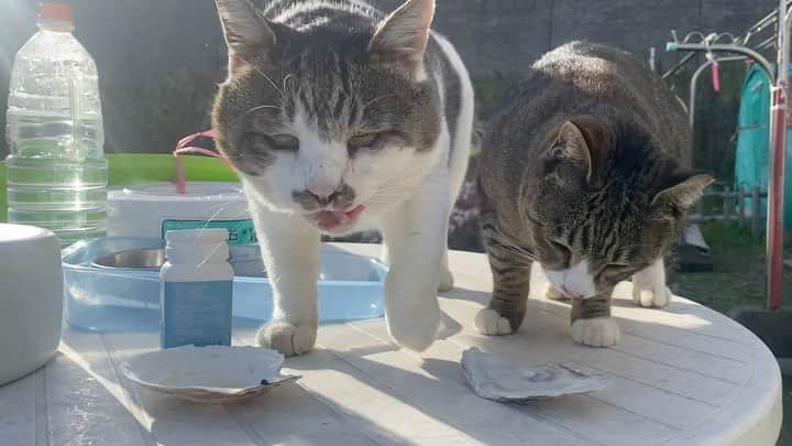 土肥美帆のインスタグラム