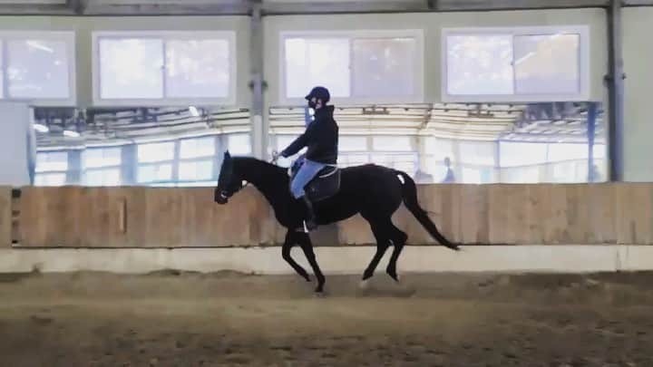 ヒョンシク のインスタグラム：「🐴😁」