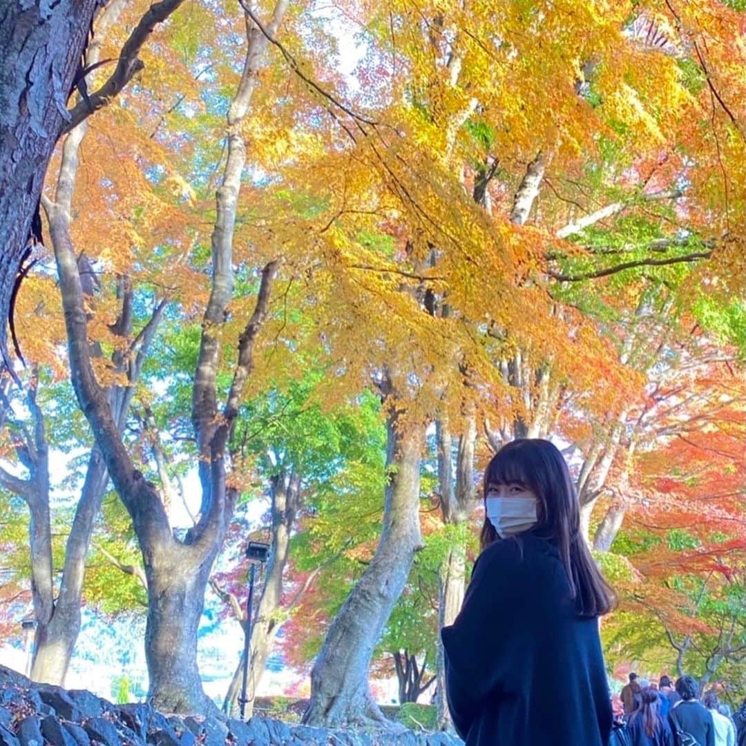 平野詩乃のインスタグラム：「カラフルでとっても綺麗✨  紅葉大好きなんです🍁 まだもう少し楽しめそう☺︎  #もみじ回廊 #紅葉狩り」