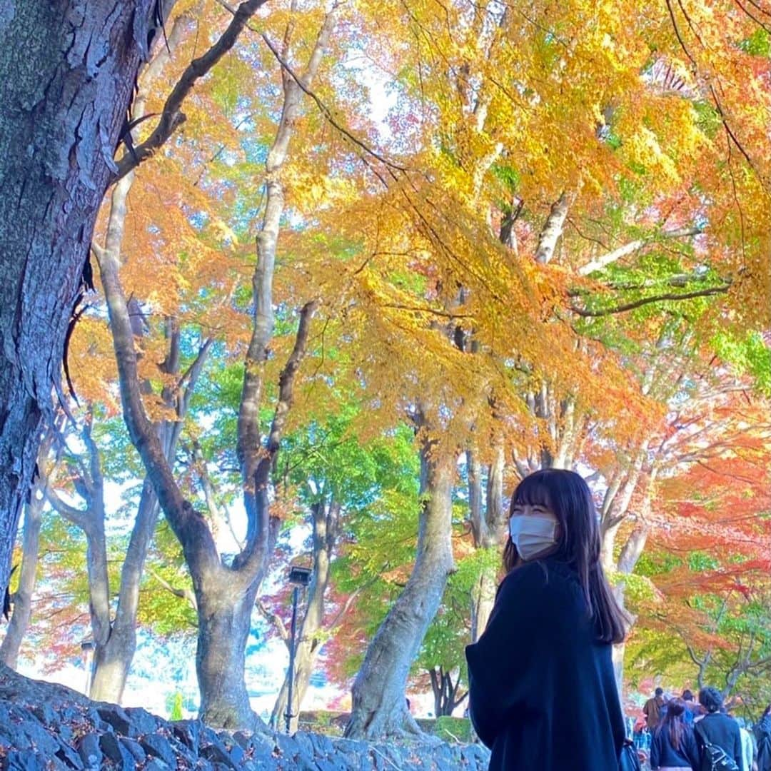 平野詩乃さんのインスタグラム写真 - (平野詩乃Instagram)「カラフルでとっても綺麗✨  紅葉大好きなんです🍁 まだもう少し楽しめそう☺︎  #もみじ回廊 #紅葉狩り」11月13日 12時30分 - hirano.shino