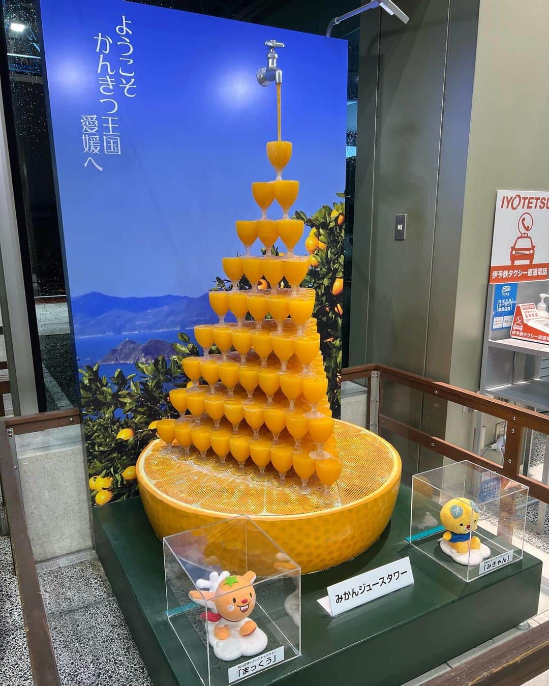 のインスタグラム：「やっとおじいちゃんおばあちゃんに会いに行けたよ✈️🍊  子供の頃からさつま汁が好きだったのを覚えてくれていて帰る日に作ってくれた！やっぱり美味しい🥳  そして今年も猫はいた🐈」