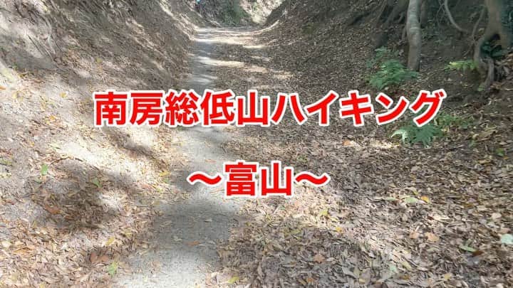 林克治のインスタグラム：「南房総市富山地区 「富山」(とみさん)に登ってみました！  44歳運動不足のおじさんには 結構ハードな道のりでしたが なんとか登頂成功！！  10人くらいの登山客とすれ違いましたが 皆、私よりも歳上風でした。  お子様から お年寄りまで 気軽に楽しめる 南房総の低山は とても大事な観光資源！！  程良い疲労感と達成感が味わえる素晴らしいスポット！  かなりオススメです！！！  #富山 #とみさん #南房総市 #房総の低山 #ハイキング #老若男女関係なく楽しめる #登山おじさん #南房総に移住しませんか？」