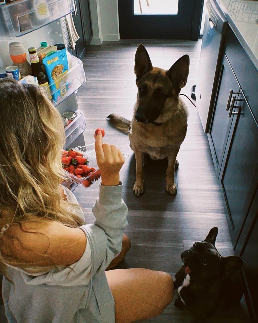 Savannah Montanoさんのインスタグラム写真 - (Savannah MontanoInstagram)「pov we’re making breakfast at 2pm」11月13日 6時07分 - savmontano