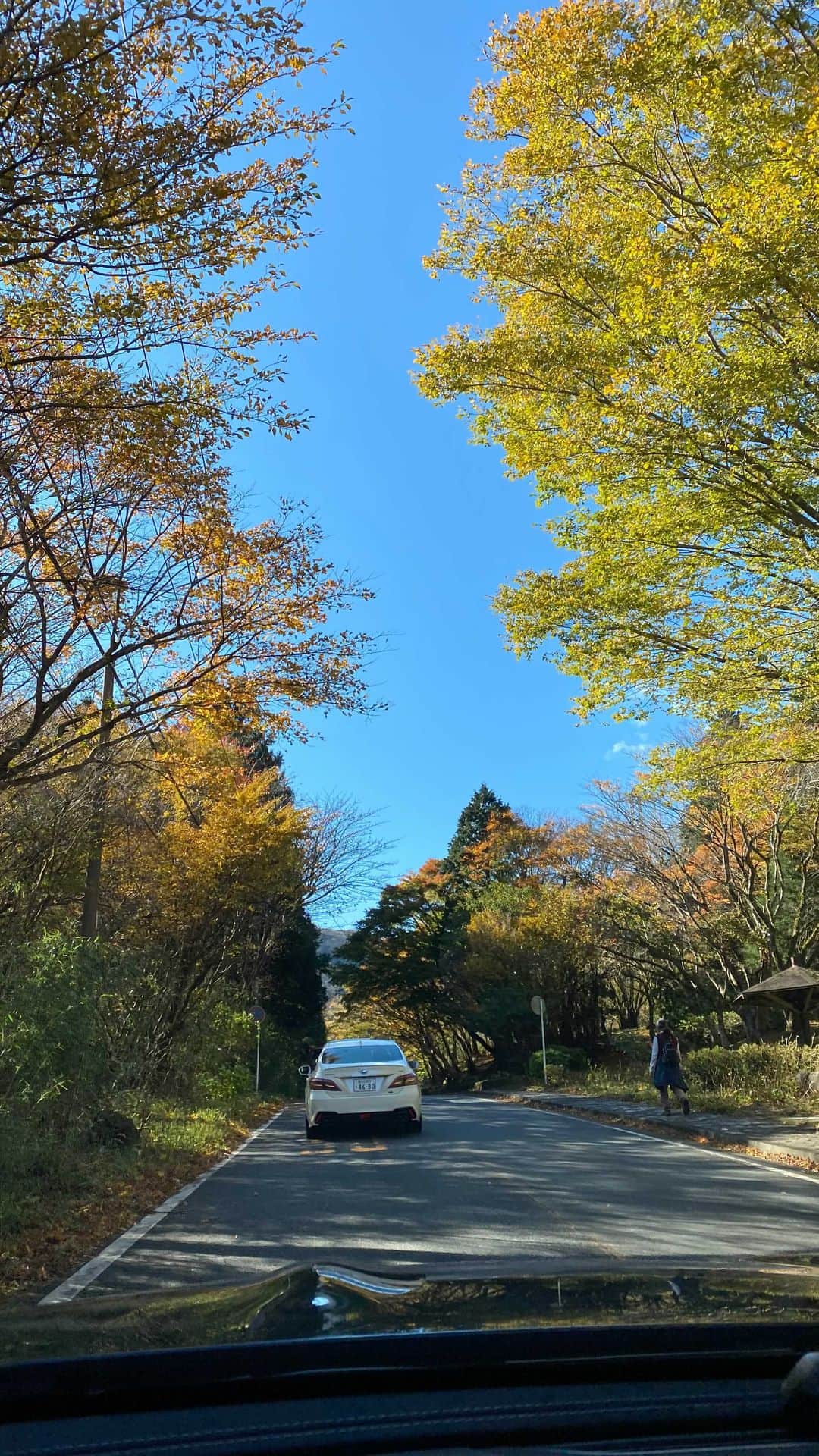 芦田桂子のインスタグラム