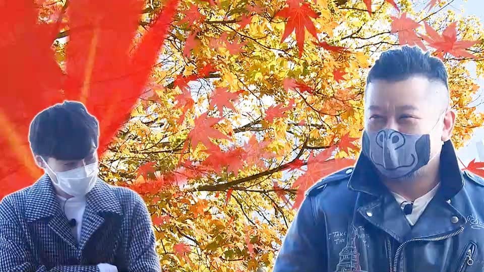 のインスタグラム：「🌈もしもツアーズ🌈 今夜6時30分から  紅葉に染まる箱根🍁 絶景空中散歩ツアー🚡  ニカちゃん😳 と ケンコバさん😤  #もしツア #ケンドーコバヤシ #二階堂高嗣 #キスマイ #ニカ #💚 #kismyft2  #平祐奈 #渡邊渚 #フジテレビアナウンサー #箱根 #紅葉 #早雲山 #ロープウェイ #大涌谷 #カレー #チーズドリア #芦ノ湖 #豆腐 #きのこ汁 #仙石原 #すすき #🤣」