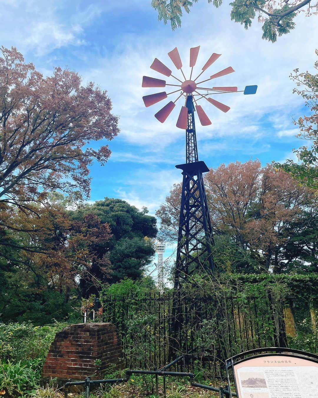 葉月里緒奈さんのインスタグラム写真 - (葉月里緒奈Instagram)「二郎後はウォーキングエクササイズ。 関内→山手→港の見える丘公園→元町商店街→横浜中華街。 お喋りしながら楽しく15000歩達成。 #元町商店街#昔ながらのケーキ屋さん #喜久家#喜久家洋菓子舗元町本店 #ラムボール#レモンパイ#チーズケーキ#ねこ#ねこのいる生活 #ロシアンブルー#ケーキに目がないベア#ロシアンブルー女の子 #甘いものには興味がないレア#ロシアンブルーの男の子 #ウォーキング#山手散策#富士山も拝めた #ローズガーデンでモデルごっこ#rionahazuki」11月13日 11時30分 - riona_hazuki