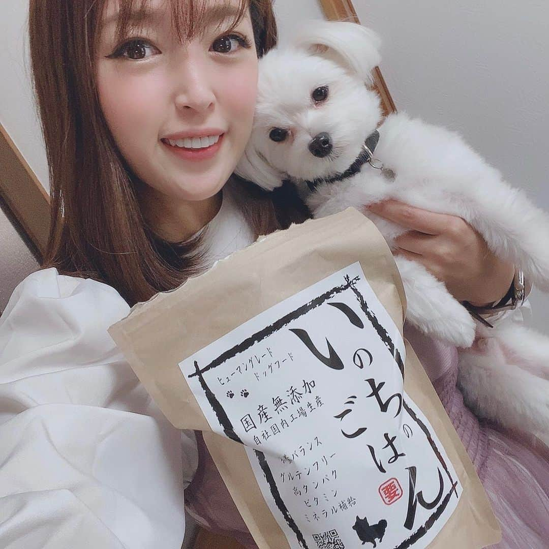 手束真知子さんのインスタグラム写真 - (手束真知子Instagram)「人間が食べる食材のみを使用したドッグフード 「いのちのごはん」が届きました！ https://onelife-store.stores.jp  香料・着色料不使用、酸化防止剤不使用、保存料不使用、小麦グルテンフリー 良質なタンパク質の配合率50%！！  犬は食べ物で毛質や臭いが変わるから 良いものだけをあげたいなって思うんです。  いのちのごはんは 国産無添加ドッグフードで 安心してあげることが出来ます(´▽｀)  ハピの食いつきもすごい！！ 飼い主も大満足なドッグフードですっ  pr @mypeki5 #無添加ドッグフード #愛犬ごはん #犬の健康 #健康寿命 #国産ドッグフード #いのちのごはん」11月13日 11時45分 - machikotezuka