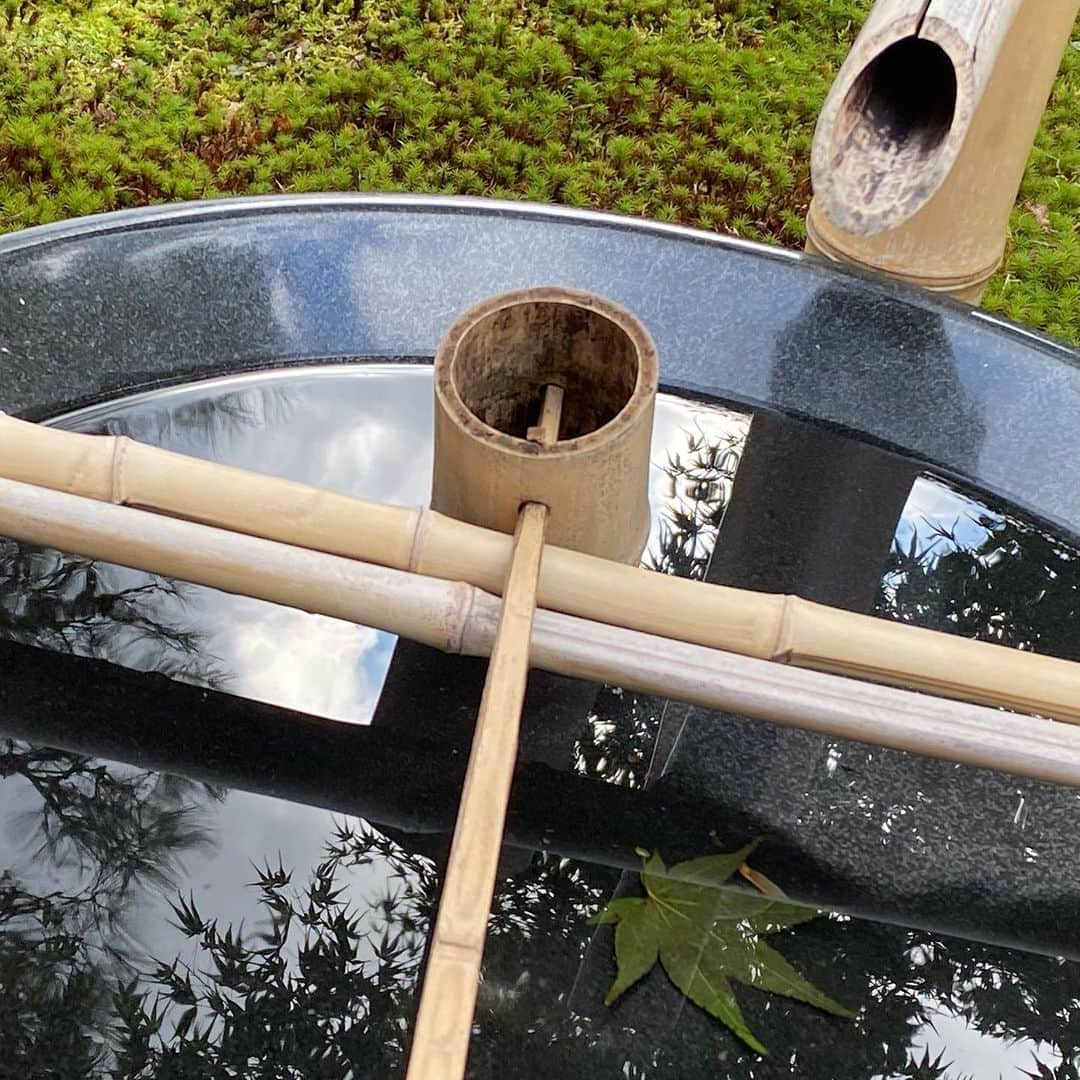 Atsukoのインスタグラム：「・ Healing ・ ・ 水琴窟の音を2枚目でお楽しみください。 ・ ・ ＊ #kyoto #japan #京都 #日本」