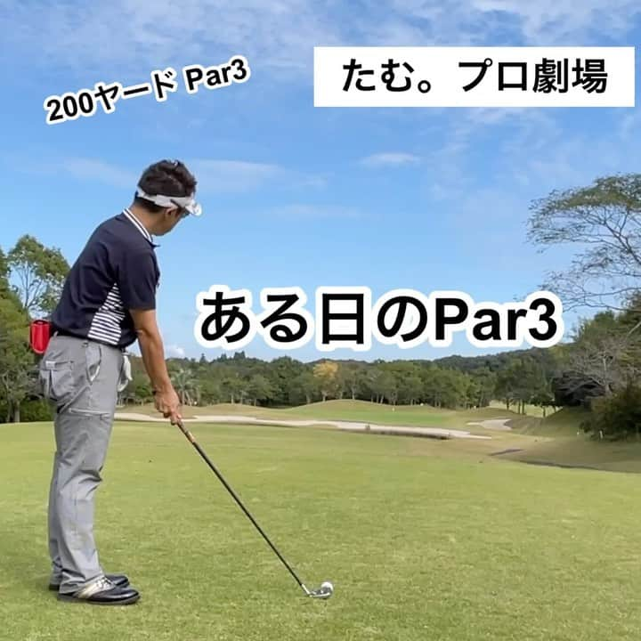 三浦辰施のインスタグラム：「はい、ナイス👍  @archivio.official_online   @azasgolf   @nipponshaft_japan   @swanseyewearth   #ゴルフ #golf  #ゴルフスイング  #ナイスショット  #ホールインワン  #バーディー  #アイアンショット #ドライバーショット #たむプロ  #アルチビオ  #azasgolf  #bushnell  #日本シャフト  #ゴルフレッスン  #pleasuregolf市が尾  #自然体ゴルフ  #たむちゃんねる  #ゴルフ自然体でいこうや  #松山英樹　#石川遼 #タイガーウッズ #渋野日向子 #稲見萌寧」