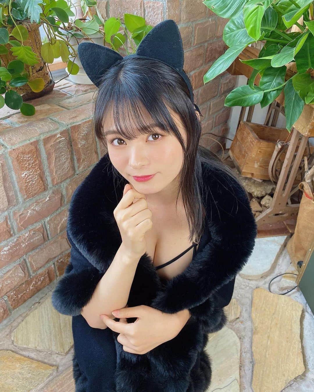 星名美津紀さんのインスタグラム写真 - (星名美津紀Instagram)「にゃん🖤  #猫」11月13日 20時35分 - hoshina_mizuki