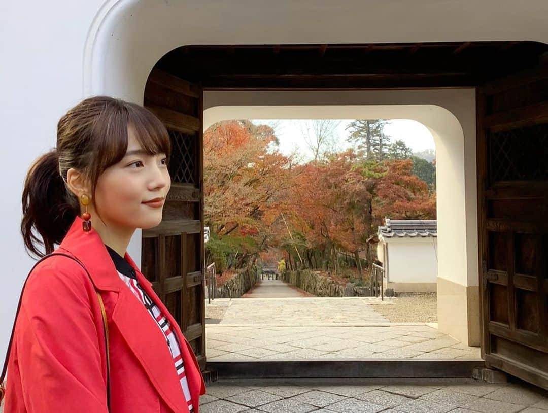 中川可菜さんのインスタグラム写真 - (中川可菜Instagram)「🍁🍁🍁🖼🍁🍁🍁  おけいはん.ねっとの紅葉の見頃状況では、 見頃のところや色づき始めているところがちらほら🍁  紅葉狩り楽しみ〜🌞📸  #オフショット #おけいはん #三条けい子 #興聖寺 さん #琴坂 #紅葉 #綺麗 #🍁 #京阪電車 #京阪 #京都 #宇治  (写真は昨年撮影したものです📸)  https://www.okeihan.net/recommend/momiji/」11月13日 20時52分 - nakagawa_kana