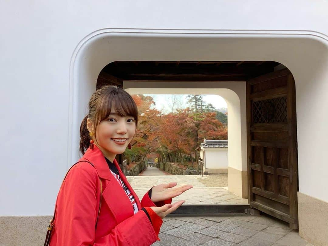 中川可菜のインスタグラム：「🍁🍁🍁🖼🍁🍁🍁  おけいはん.ねっとの紅葉の見頃状況では、 見頃のところや色づき始めているところがちらほら🍁  紅葉狩り楽しみ〜🌞📸  #オフショット #おけいはん #三条けい子 #興聖寺 さん #琴坂 #紅葉 #綺麗 #🍁 #京阪電車 #京阪 #京都 #宇治  (写真は昨年撮影したものです📸)  https://www.okeihan.net/recommend/momiji/」