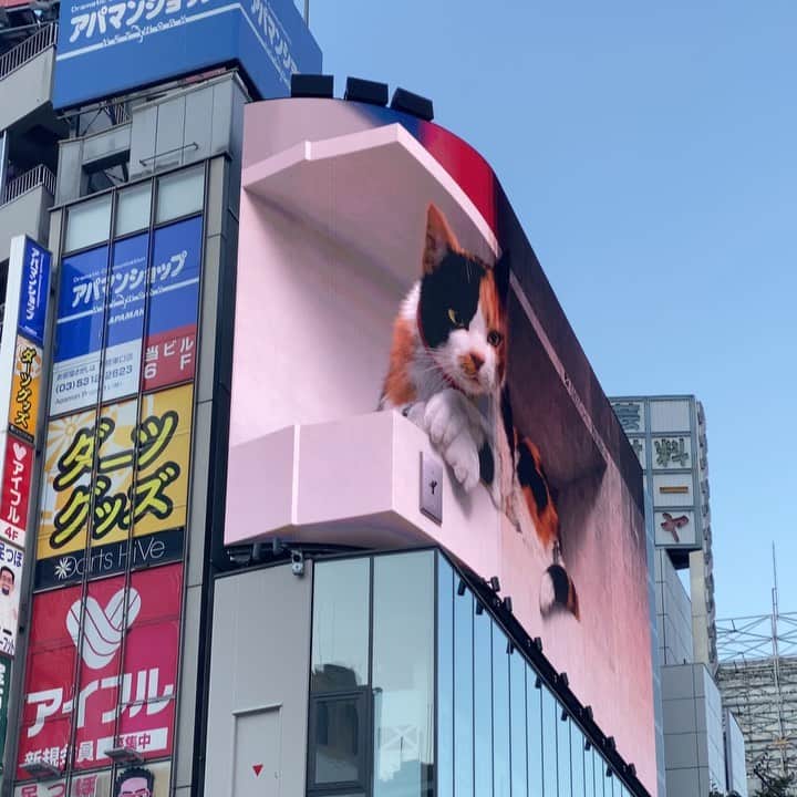 km観光タクシーのインスタグラム