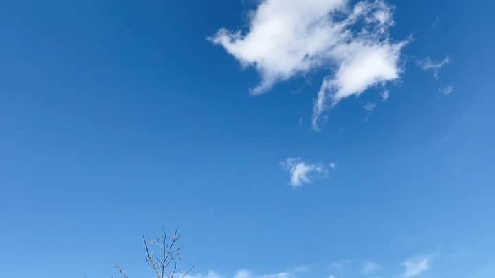 林克治のインスタグラム：「「タンタンメンかずさ」さん！  南房総市高崎にございます。  真っ黒スープに度肝を抜かれました！  程良い辛さと酸味が良き！  オススメです！  #タンタンメンかずさ #南房総市 #岩井駅 #美味杉謙信 #黒タンタンメン #ラーメン #YouTube動画編集中 #南房総に移住しませんか？」