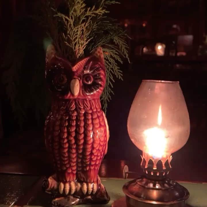 のインスタグラム：「🦉🪔💕」