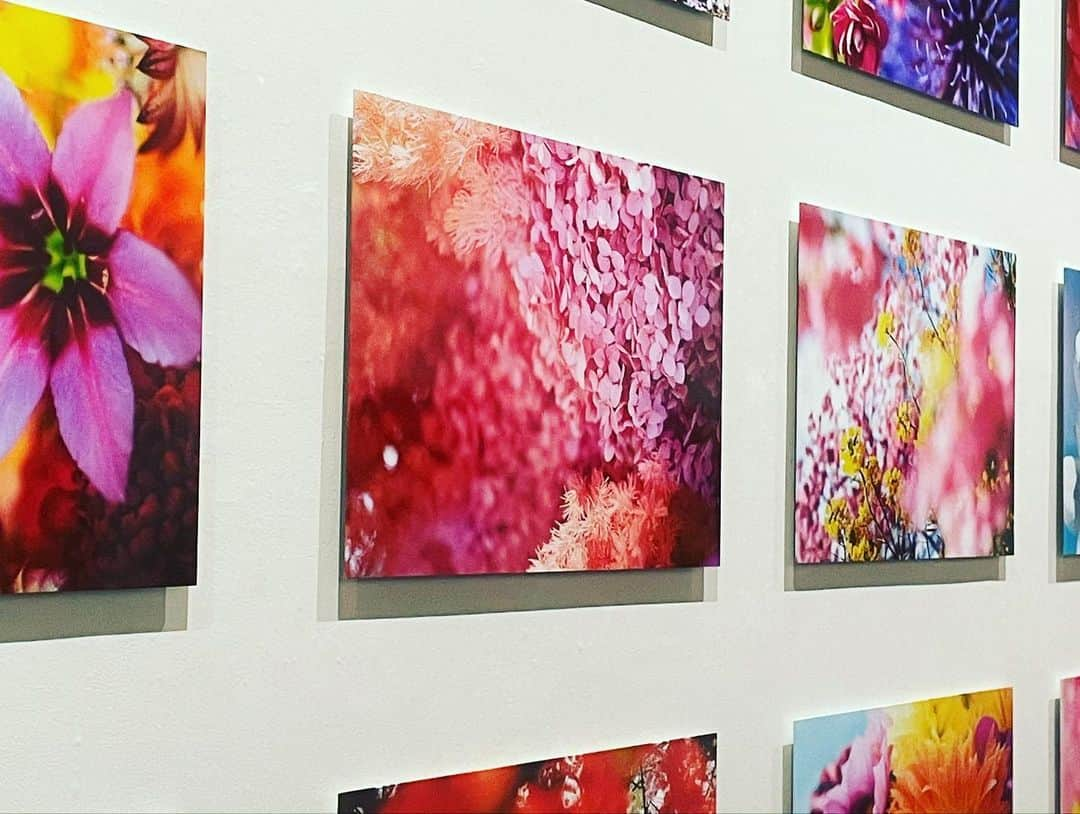 keilEen（ケバビン）さんのインスタグラム写真 - (keilEen（ケバビン）Instagram)「#蜷川実花展」11月14日 19時39分 - rin_vivishri