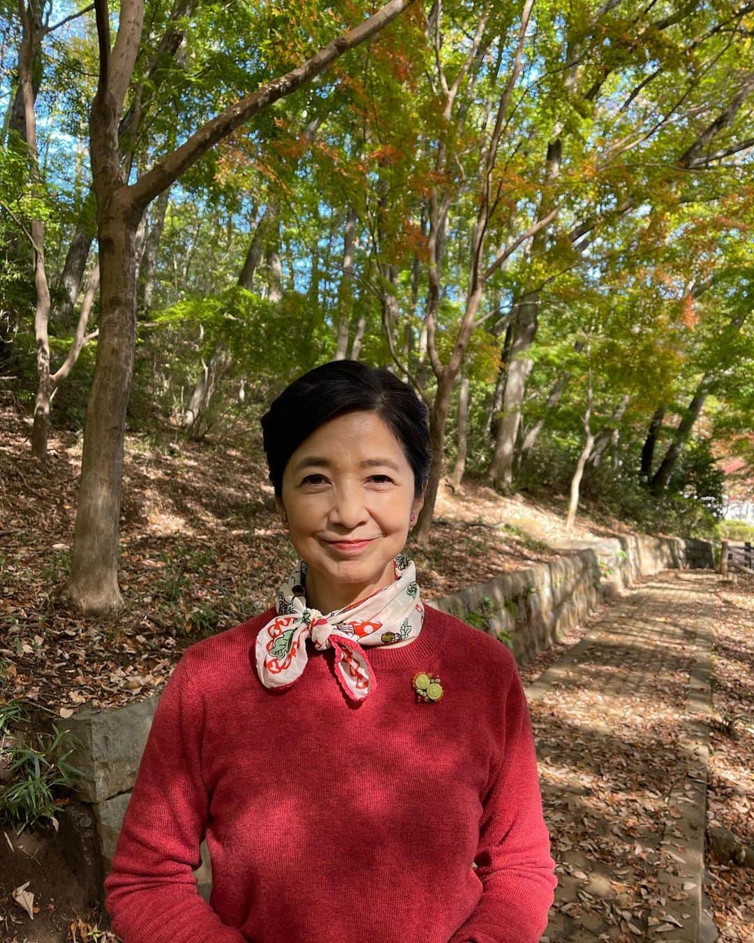 宮崎美子さんのインスタグラム写真 - (宮崎美子Instagram)「皆さん、こんばんは。  先日、少し秋の景色を楽しみに武蔵村山の方に行って来ました。  まだ、紅葉には早かったのですが、その気配は感じることが出来ましたよ。  #紅葉 #秋 #武蔵村山」11月14日 20時12分 - miyazakiyoshiko.official