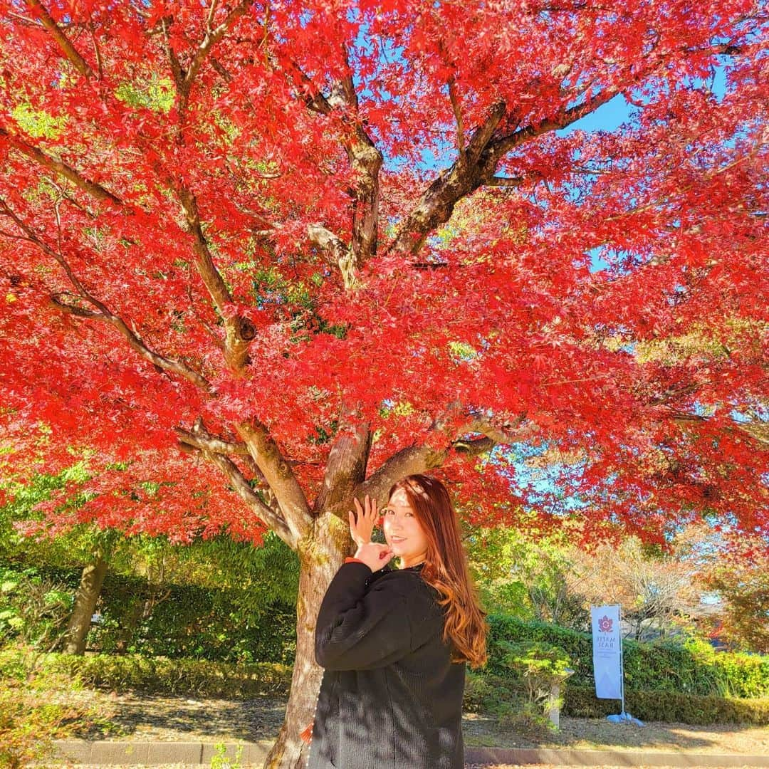 うさまりあのインスタグラム：「. . . . . . . . . . . . . Good morning👋🍁 . . . 日本は四季が唯一ある国の一つ🍁 . . . いちょうや紅葉が散ったらいよいよ冬が始まるねっ😘 . . . ネイルや洋服も冬使用に皆もなっていくのかなぁ😊 . . . . . . . . . #秋 #autumn #紅葉 #秩父 #plussize #plussizemodel」