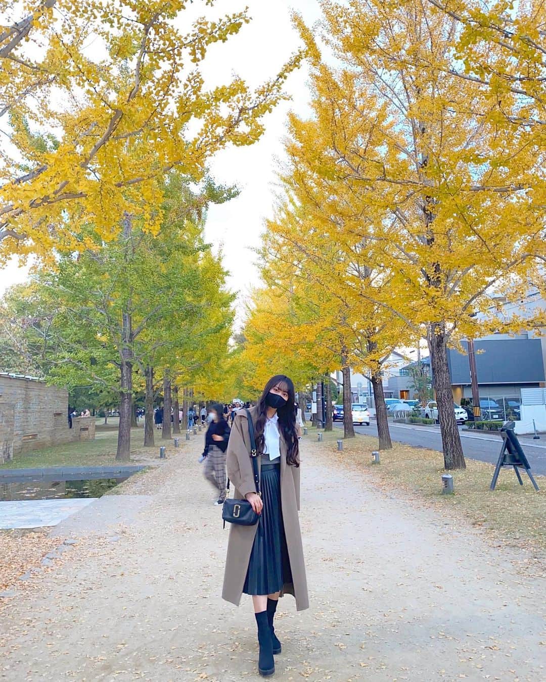 野村実代さんのインスタグラム写真 - (野村実代Instagram)「🍂💛 ⁡ ⁡ 家族とドライブへ行ったら こんな素敵なところに連れて行ってくれたよ。 とっても綺麗だった😊 ⁡ ⁡  #秋 #紅葉 #イチョウ #みよちゃんにんぎょう」11月15日 21時00分 - miyomaruko_0201