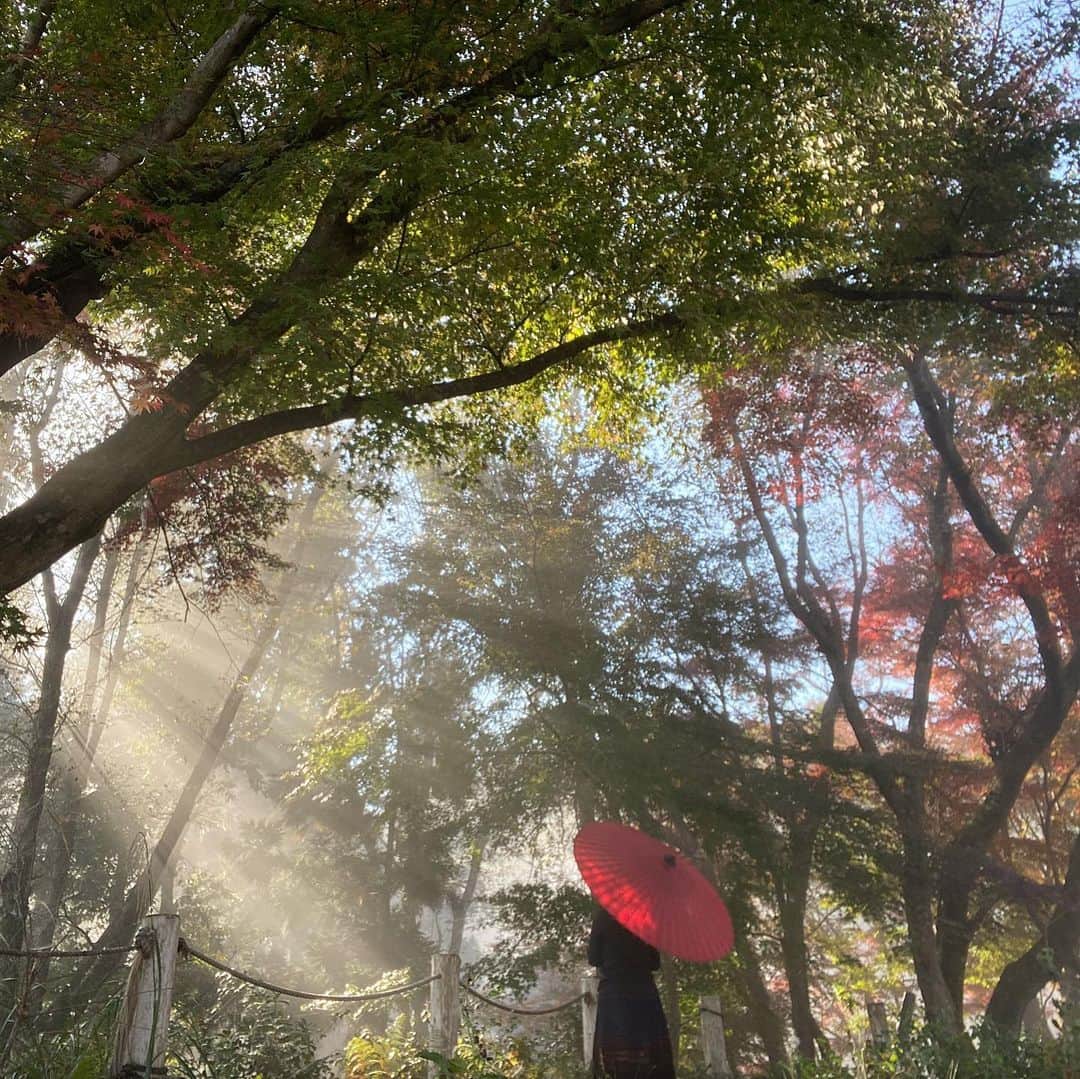 Atsukoのインスタグラム
