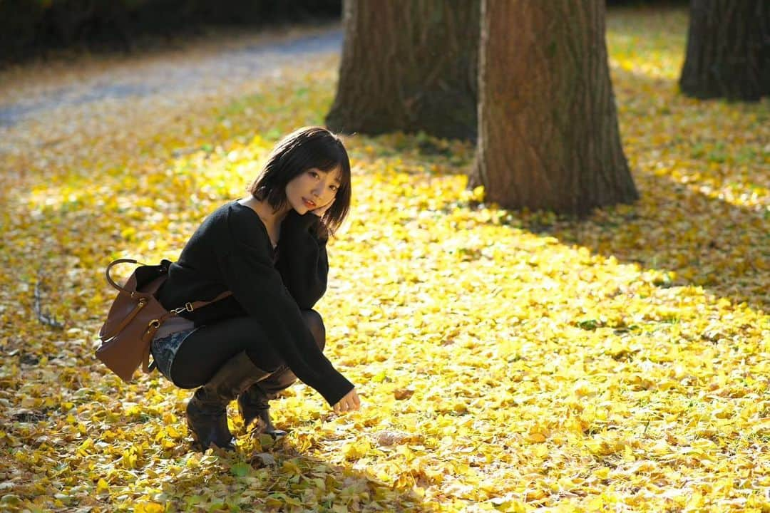 碧波彩のインスタグラム：「銀杏並木でポートレート撮影してきました。 #portrait  #autumn  #photography #Instagram #japanesegirl #photo #model  #portrait_jpn #photogenic_jp #japaneseculture #swordfight #actor #actress  #ポートレート　　#写真  #被写体　#撮影　 ＃武将　#japanesesamurai #殺陣ガール　#刀　#侍」