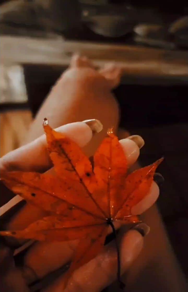 𝑵𝒐𝒓𝒊のインスタグラム