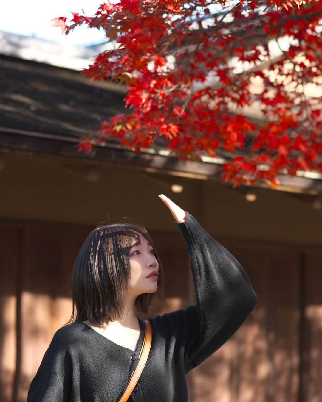 碧波彩のインスタグラム：「#momiji  #autumn #photography #Instagram #japanesegirl #photo #model #portrait #portrait_jpn #photogenic_jp #japaneseculture #swordfight #actor #actress  #ポートレート　　#写真  #被写体　#撮影」
