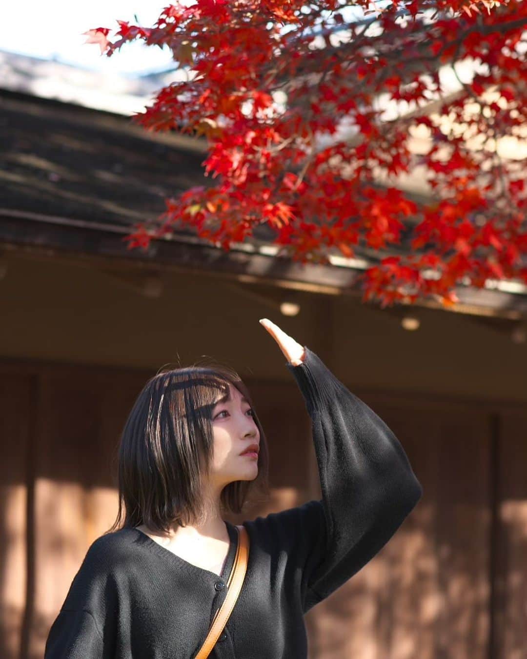 碧波彩のインスタグラム