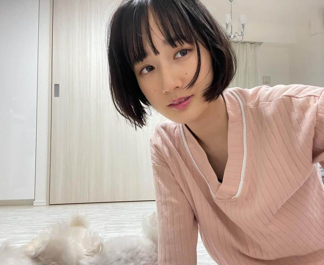 高嶋香帆のインスタグラム：「ただいま🏠 家に帰ったらすぐに部屋着になる派です👗  下でわちゃわちゃしている犬達🐶お元気☺️」