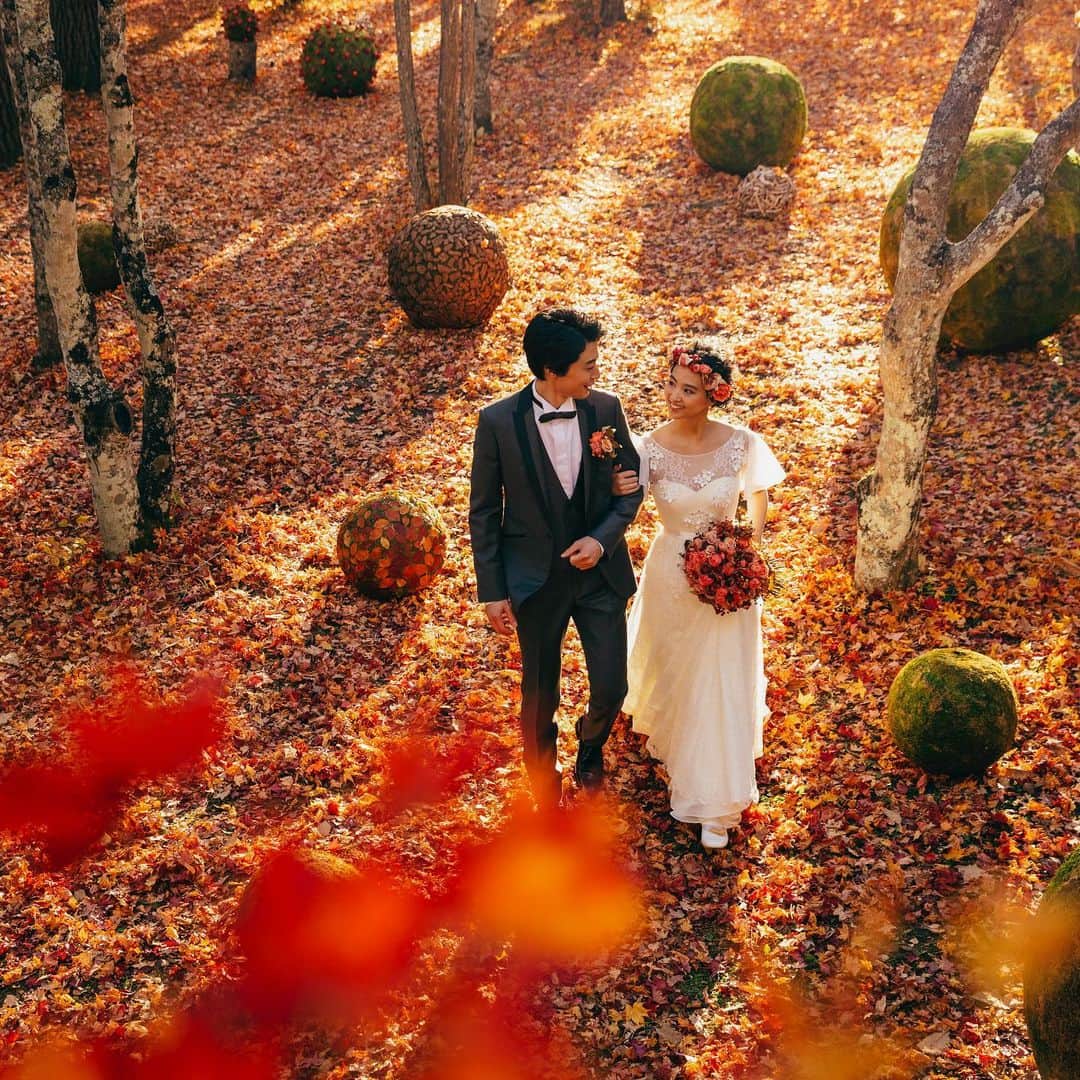 【公式】ホテルブレストンコート_ウエディングのインスタグラム：「11月の頭にピークを迎えた軽井沢ホテルブレストンコートの紅葉。 今は、落ち葉の絨毯がとても美しい季節です。  秋というと、紅葉ばかりに目が行きますが、落ち葉もとてもロマンチックなのです。  #軽井沢 #軽井沢ホテルブレストンコート #hotelblestoncourt #秋のウエディング #季節を楽しむウエディング #軽井沢ウエディング #星野リゾート」