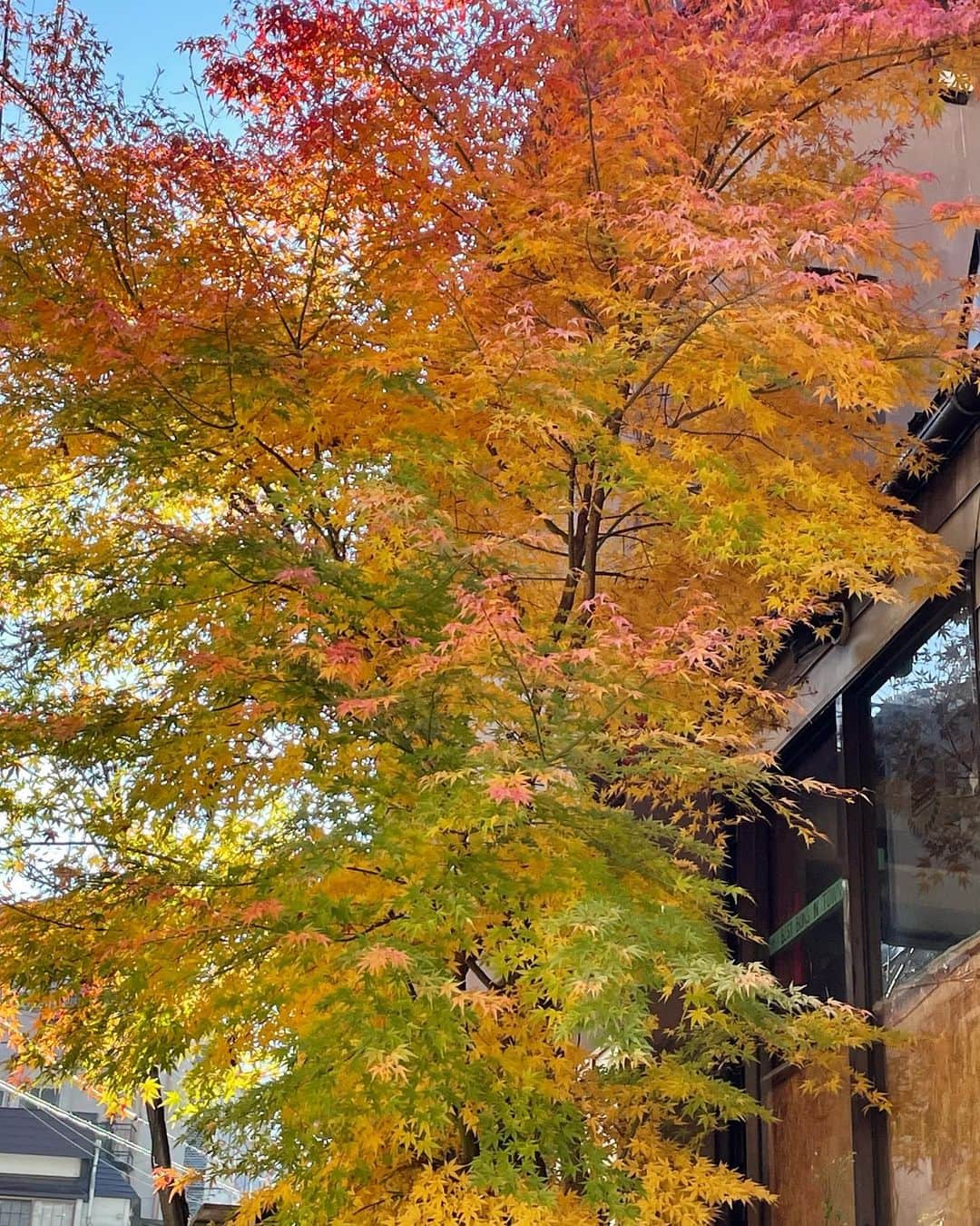 原沙知絵のインスタグラム