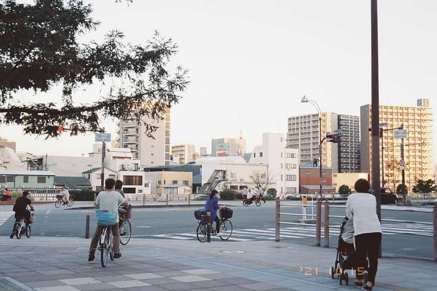 ハルさんのインスタグラム写真 - (ハルInstagram)「カメラ楽しいです。   #naturaclassica」11月15日 23時32分 - haruhamada