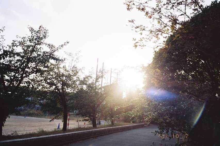 ハルさんのインスタグラム写真 - (ハルInstagram)「カメラ楽しいです。   #naturaclassica」11月15日 23時32分 - haruhamada