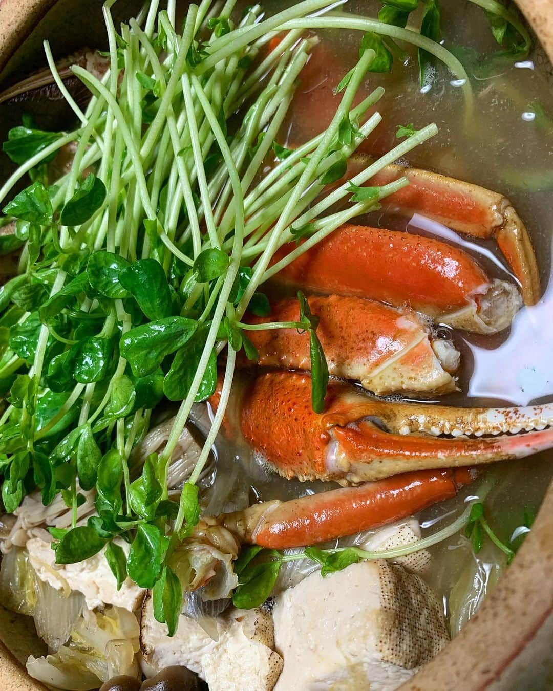 小田飛鳥さんのインスタグラム写真 - (小田飛鳥Instagram)「🦀ご近所蟹騒動🦀 昨夜は稚内から届いた毛蟹ﾁｬﾝとタラバガニﾁｬﾝで蟹パーティー⭐︎ 蟹がずーっと美味しくて、最後の雑炊が最高に美味しい！この雑炊の為に頑張って蟹を捌いたのだなぁと。笑 本当に無口になりました！w 自分で蟹鍋なんて初めてしたので、楽しかった〜🦀🦀 #タラバガニ #毛蟹 #カニパ #蟹鍋 #武甲正宗 #日本酒」11月16日 15時17分 - asuka_oda_0320