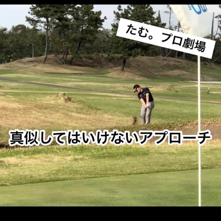 三浦辰施のインスタグラム：「よい子は真似しませんように🤣  #ゴルフ #golf  #ゴルフ動画  #トラブルショット  #アプローチ  #ゴルフレッスン  #ゴルフスイング  #たむプロ  #ゴルフ自然体でいこうや  #pleasuregolf市が尾  #ロブショット  #プロの技  #ゴルフ好き  #ゴルフ男子  #ゴルフ女子  #アルチビオ  #azasgolf  #razzledazzle  #歓喜の相棒  #松山英樹  #石川遼  #渋野日向子」