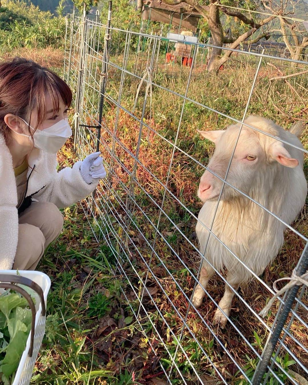 辻満里奈のインスタグラム