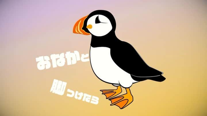 横沢ローラのインスタグラム：「先日、アイルランドのベストセラーの絵本のテーマソングを、日本語、英語で書き下ろしだことに続き、そもそもこの絵本の主人公の鳥、パフィンのえかきうたを作りました。明日17日、リリースです！ 「パフィンのえかきうた〜ペンギンじゃない〜」 プロフィールのリンクから、サブスクの方は予約できます。予約、、、すると、うっかりしててもそーいえば、、！って聞きやすい、ブックマークみたいな感じかな。  ミュージックビデオは、、、、！ 明日20時オノマトペルYouTubeチャンネルにてリリースです。 マルチアクセスアーティスト工藤シンクさん、アニメ監督春日森春木さんのコラボレーションで完成したよ！！ #パフィンちゃんどこにいるの #パフィン #那須どうぶつ王国 #ニシツノメドリ #ペンギンじゃない #onomatopel #エトピリカの仲間　#ラップ #えかきうた #絵描き歌」