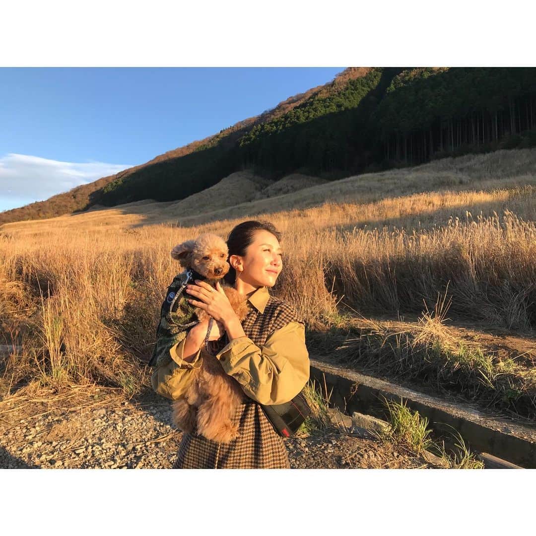 のインスタグラム：「友達母子と紅葉の箱根、、 かるたファーストな旅😆 ・ 大涌谷はこの日強風で寒すぎ💦思わずかるたで暖をとりつつ久々の黒たまご🍳 ・ 仙石原のすすき草原は 黄金色に波打つように 輝きそして美しかった。 ・ お宿はかなり古めだけど🤣 わんちゃん用に工夫されていて足洗い場、足拭きタオル、ゴミ箱、部屋にはトイレやおしっこシート、水飲み用のボウルなど細々したものも揃ってる。 リードを着けていれば温泉以外は館内自由に移動出来るから 大型中型、小型犬に関わらずほぼ、ワンコ連れ🐶 お陰でレストランでも気兼ねなくゆっくりフグコースが楽しめた（しかも飲み放題・笑）😆‼️ ・ 5キロのトイプーを担いでパンパンになった肩も露天風呂で癒せたよ🤣 ・ ・ #犬と箱根旅  #犬と温泉 #大涌谷　#黒たまご #仙石原　#すすき草原 #犬と泊まれる宿 #トイプードル #でかぷー」