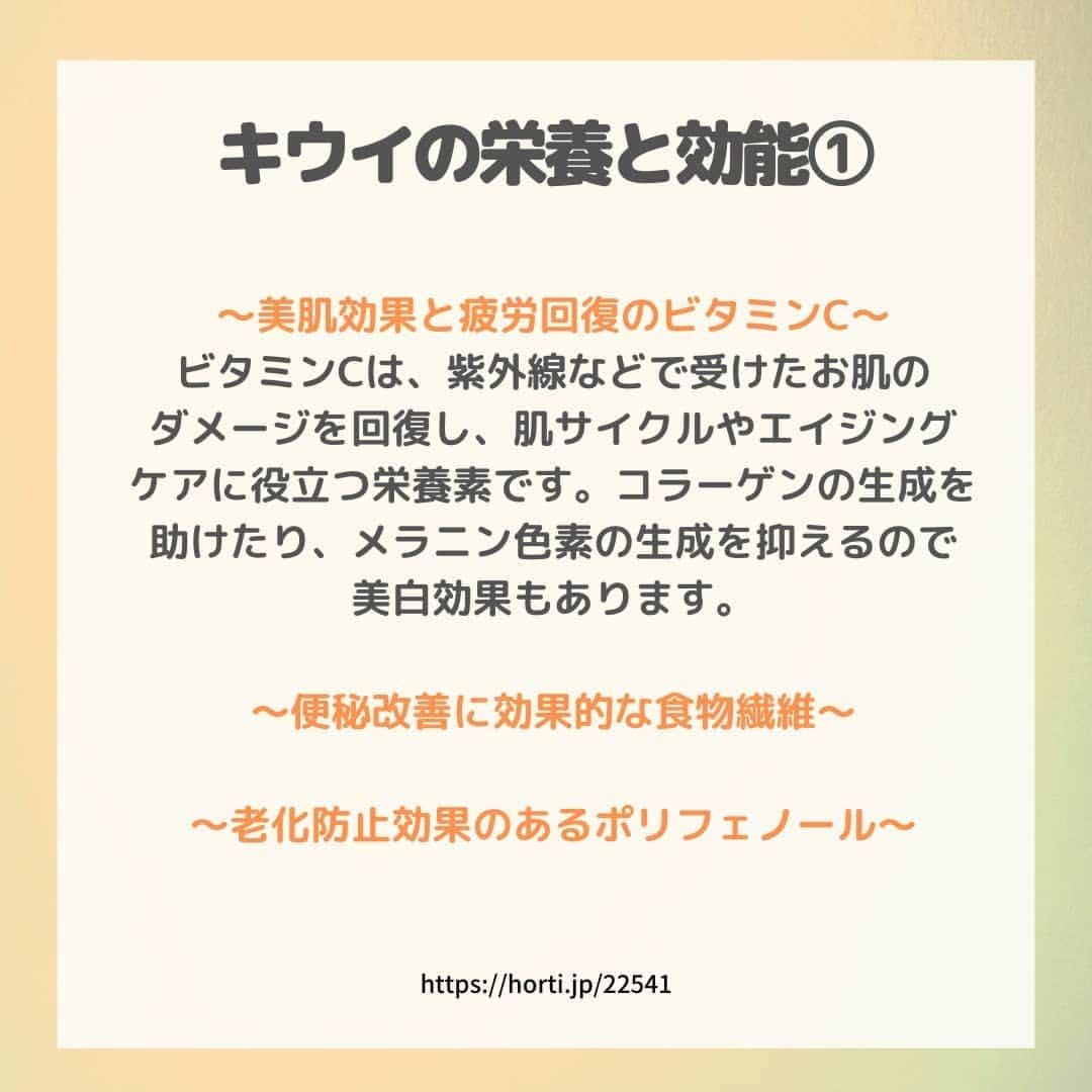 JJJ SUPPLEMENTさんのインスタグラム写真 - (JJJ SUPPLEMENTInstagram)「『キウイの栄養・効能』　  . 今回はキウイの栄養と効能についてご紹介します！ . ビタミン・食物繊維が豊富に含まれていることで有名なキウイ。今回はその効能・栄養にまとめたので、是非チェックしてみてください✔ ． 最後に紹介している飲む日焼け止めには、ビタミンが含まれているので、気になる方はぜひチェックしてみてはいかがでしょうか😆  #日焼け止め #美白 #紫外線対策 #紫外線量 #日焼け止めサプリ #保湿 #シミ対策 #uvケア #美肌ケア #jjjsupplement #uvトータルクリア #健康 #美容 #日本製造 #madeinjapan #キウイ #フルーツ」11月16日 14時18分 - jjjsupplement