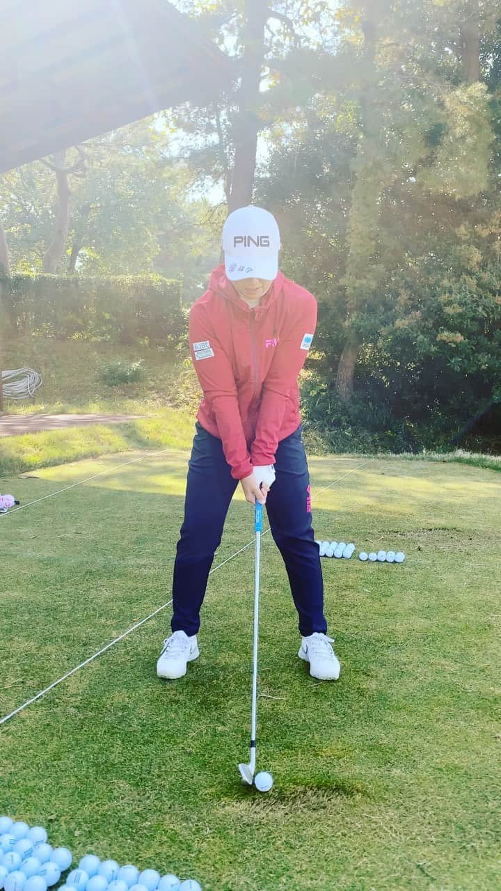 小倉ひまわりのグルメインスタ