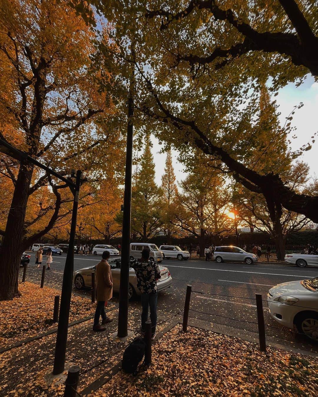 川口レイジのインスタグラム：「Autumn🍂   Somewhere in Tokyo.   #leavesfalling  #Tokyo  #steet  #autumn  #銀杏並木 #reiji629」